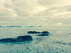 IMG_2144  
